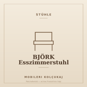 BJÖRK Esszimmerstuhl